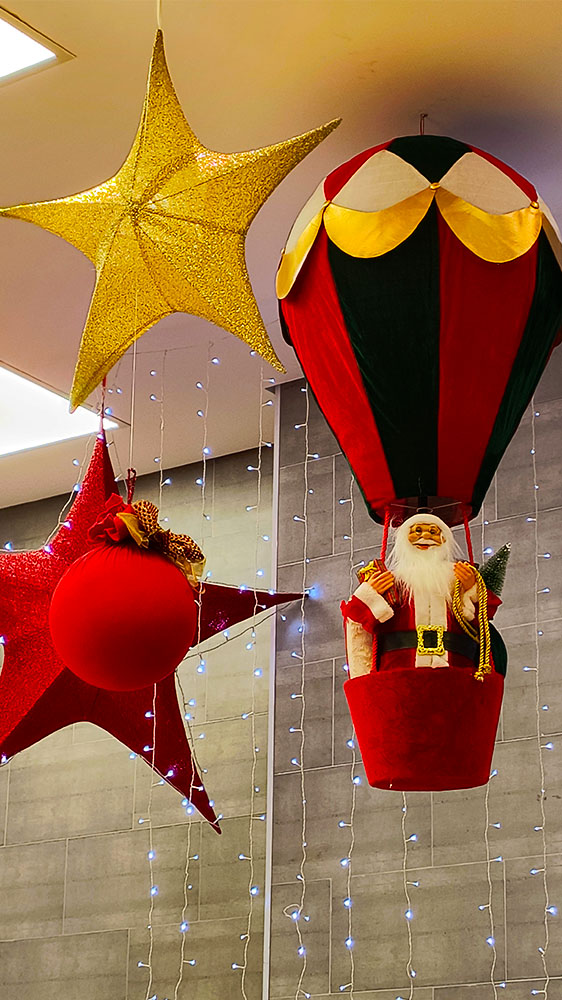 CASES E GALERIA - AMIGAS DE NOEL - HOME - 12