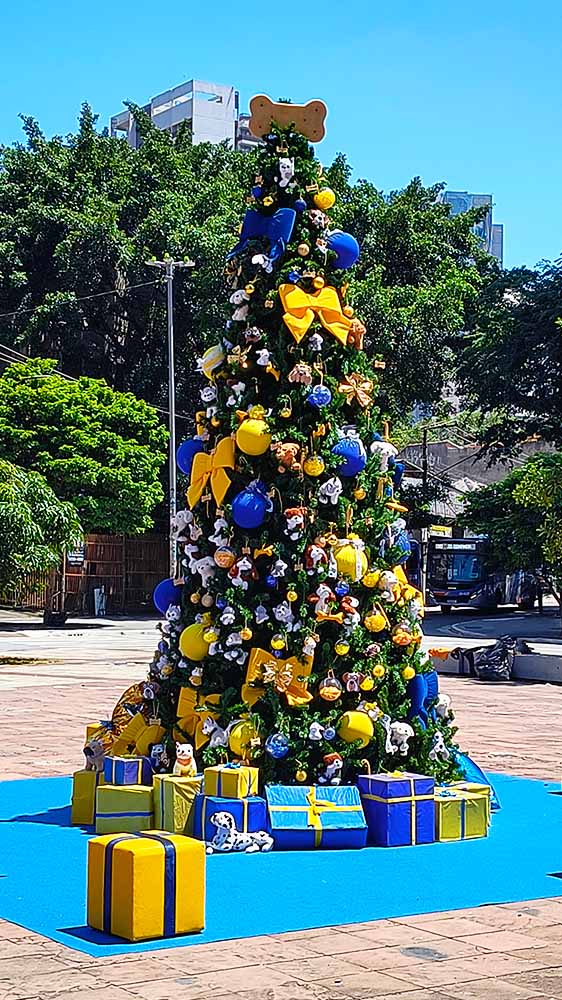 CASES E GALERIA - AMIGAS DE NOEL - HOME - 13