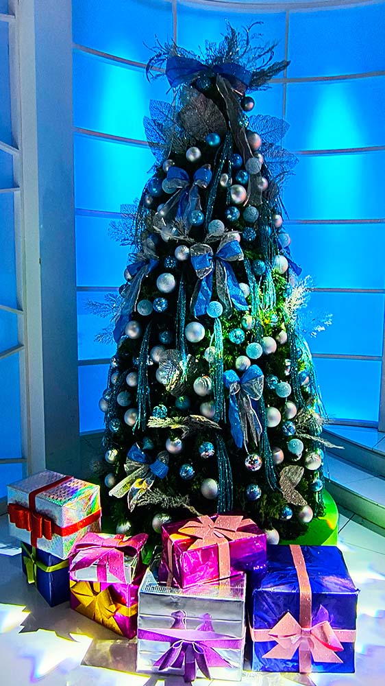 CASES E GALERIA - AMIGAS DE NOEL - HOME - 15