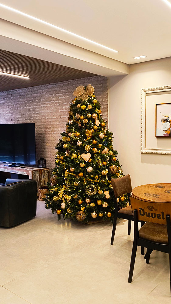 CASES E GALERIA - AMIGAS DE NOEL - HOME - 17