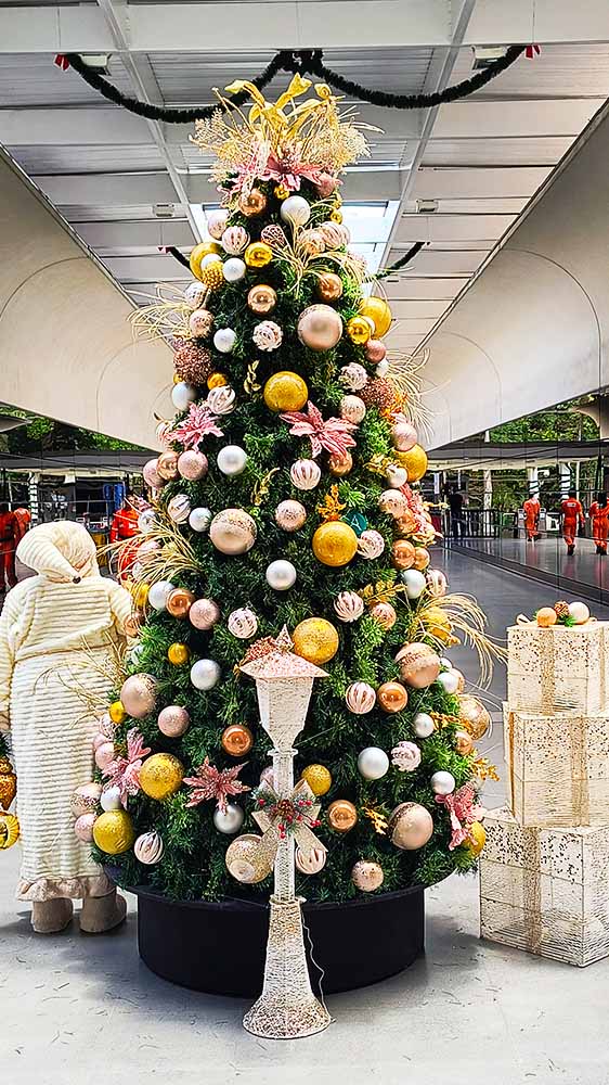 CASES E GALERIA - AMIGAS DE NOEL - HOME - 18
