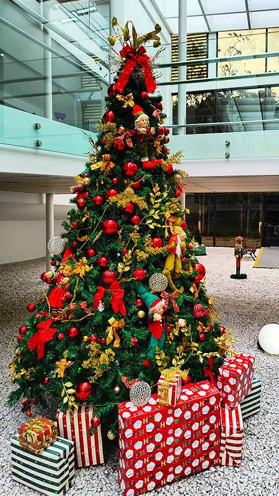 CASES E GALERIA - AMIGAS DE NOEL - HOME - 3