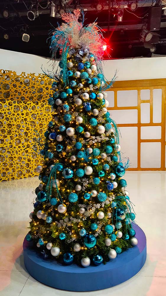 CASES E GALERIA - AMIGAS DE NOEL - HOME - 4