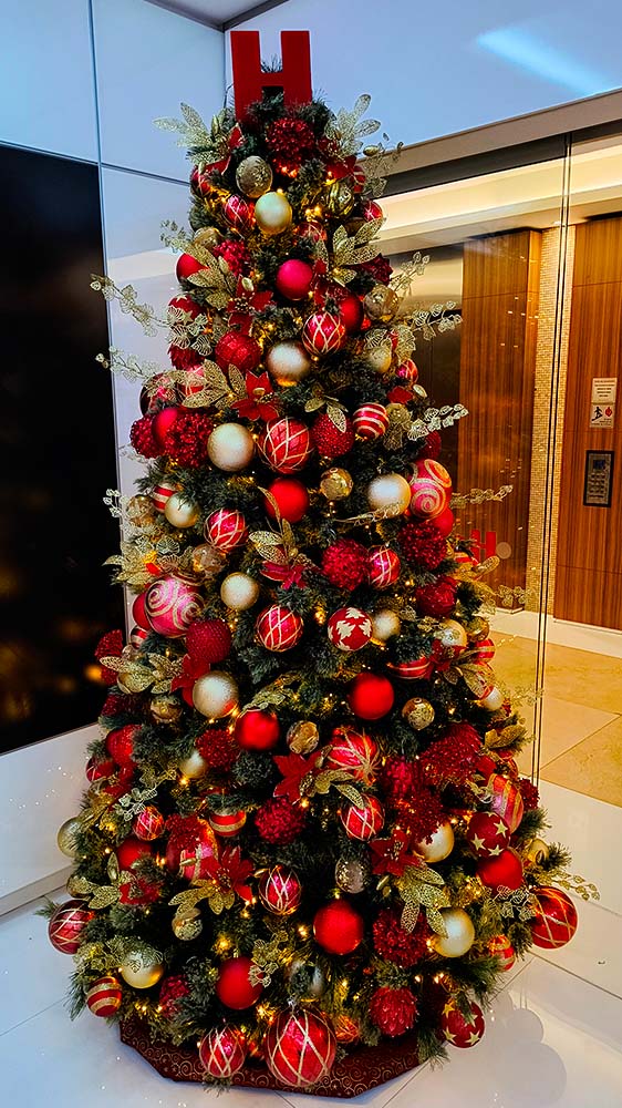 CASES E GALERIA - AMIGAS DE NOEL - HOME - 9